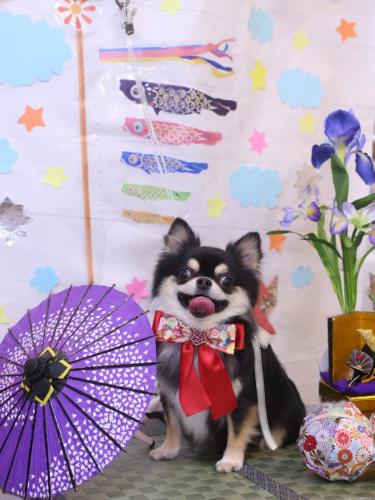 20240508ボスくん